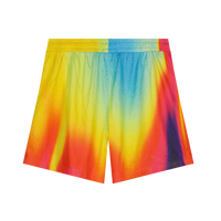 GRADIENT MONSTER MESH SHORT