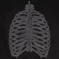 RL BONES ZIP UP HOODIE