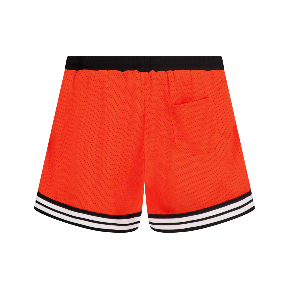 RL Vienna 24 Basketball Shorts