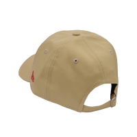 Desert Neon Dad Hat