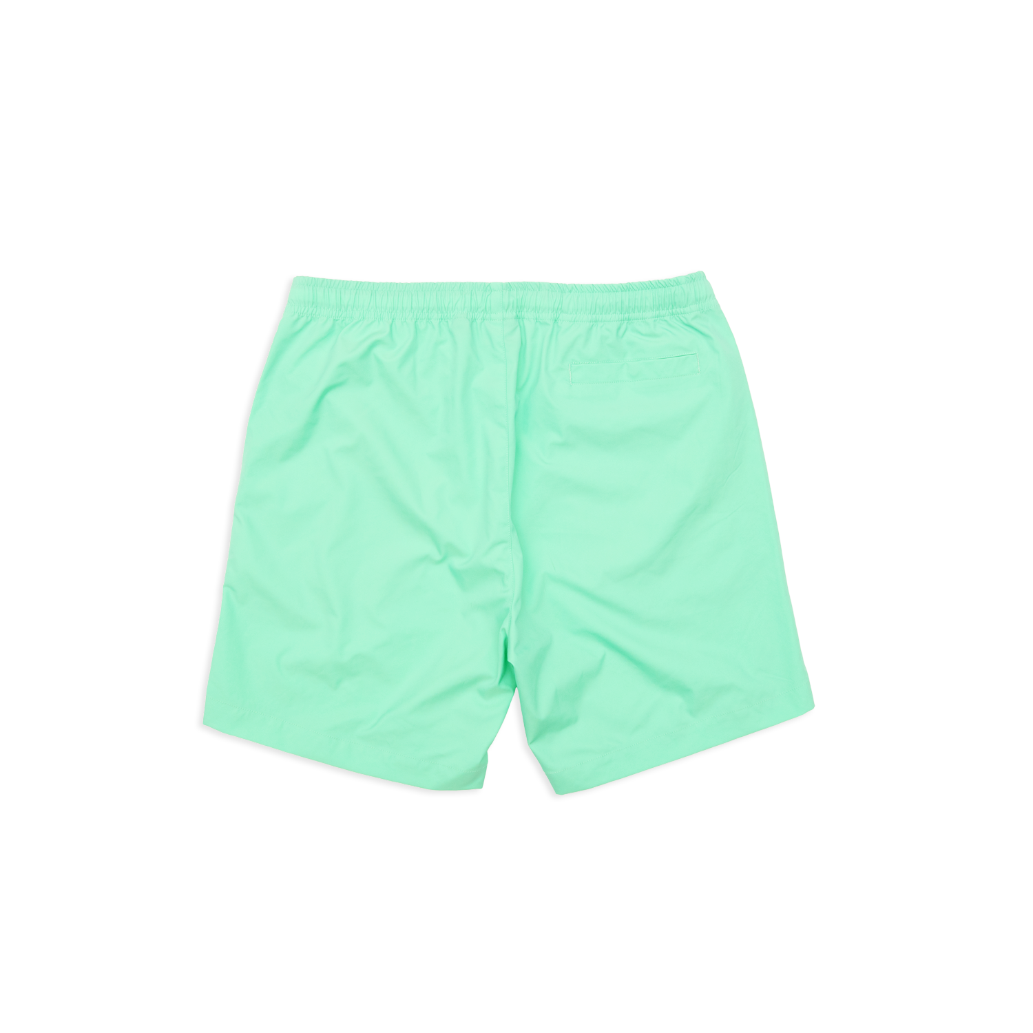 RL Productions Aqua Iridescent Nylon Shorts