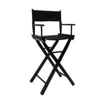 Director's Chair